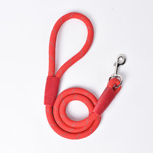 Dog Leash Small Dog Leash Pet Products P Chain