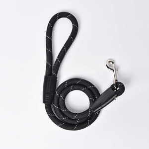 Dog Leash Small Dog Leash Pet Products P Chain